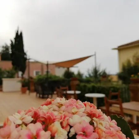 Bed and breakfast B&B Villa Pirandello *